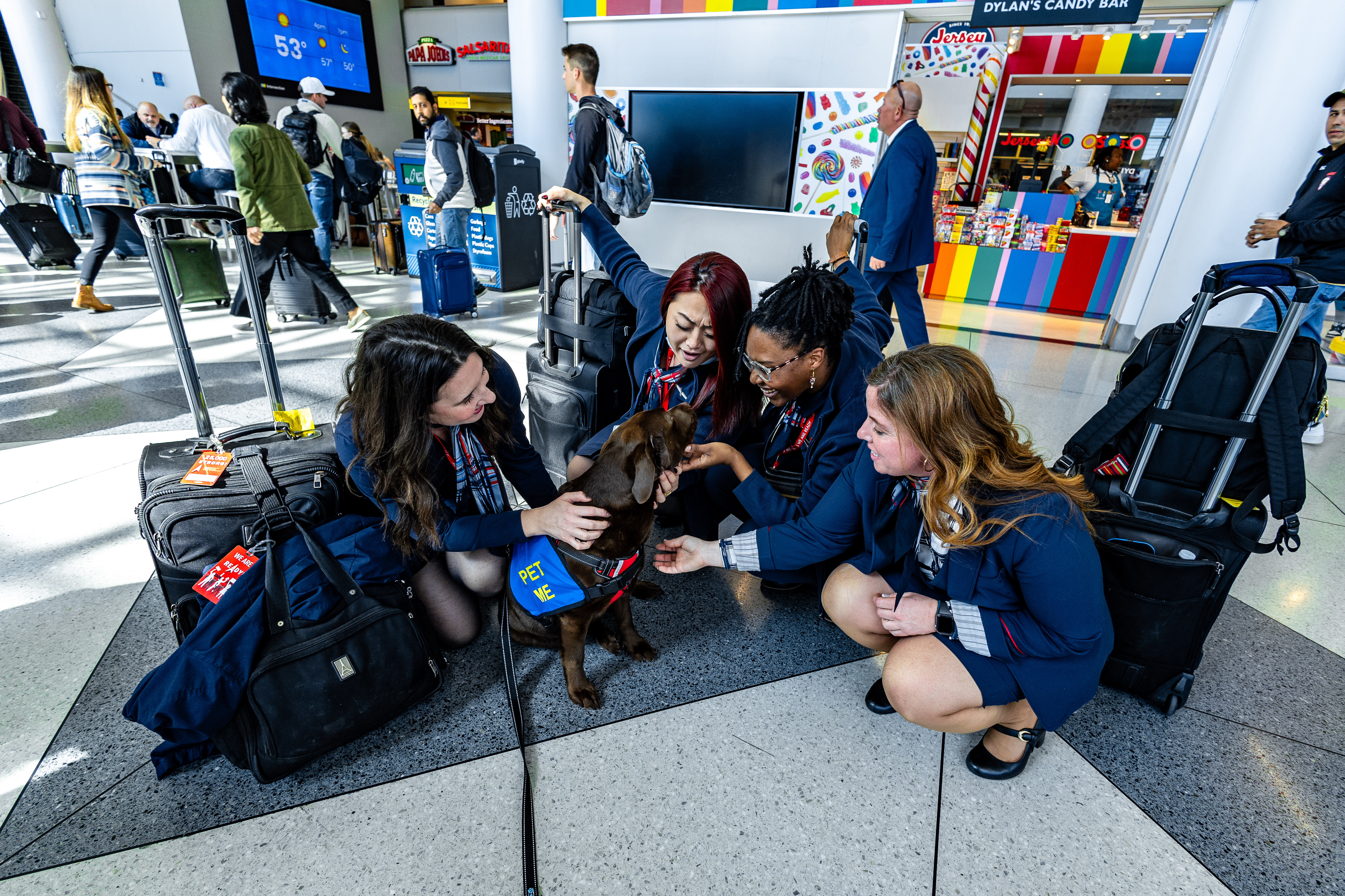 Canine Crew dog Esther is surrounded by four flight attendants