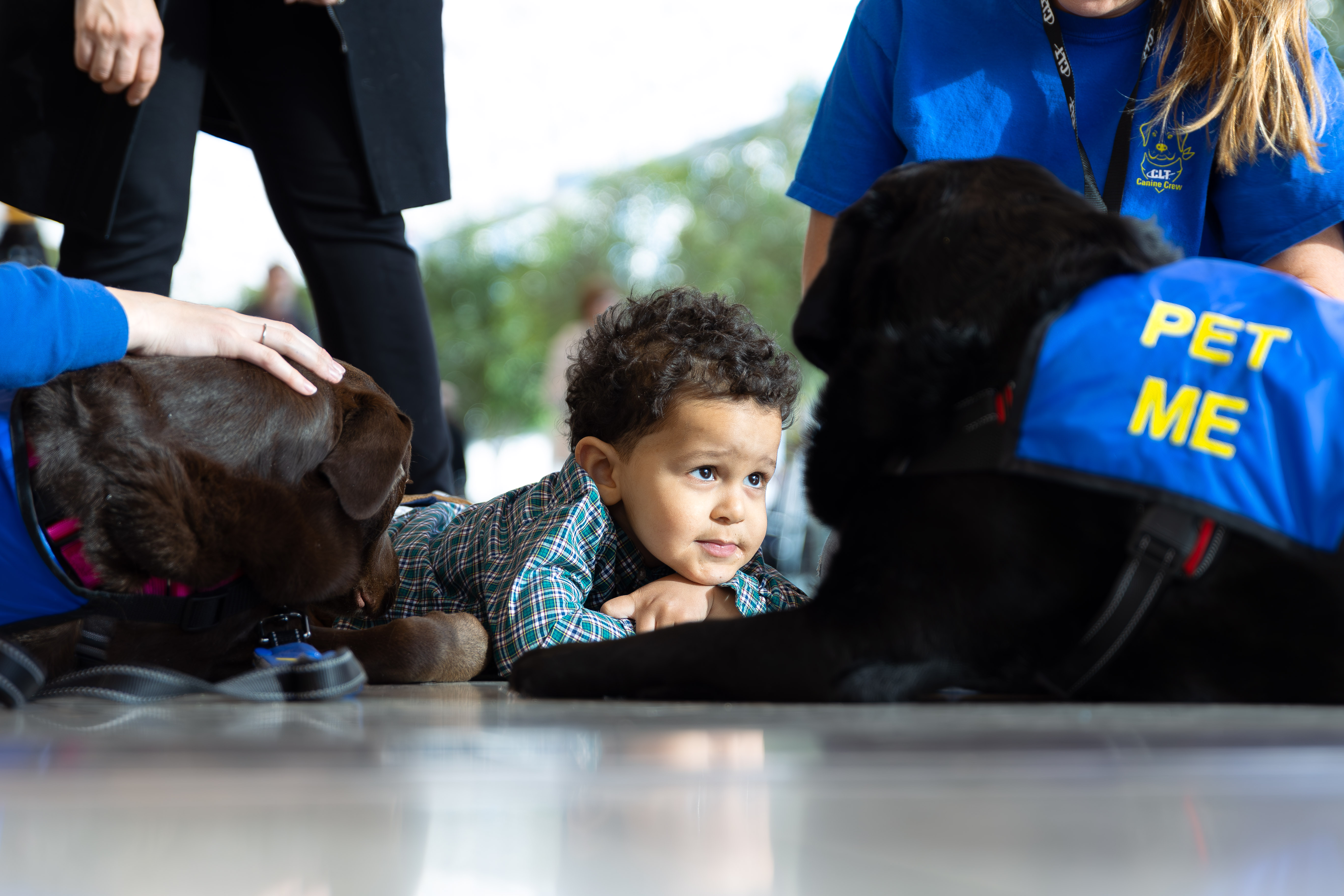 A little boy lies on the floor and gazes into the eyes of Canine Crew dog Holly